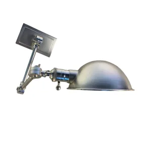Robert Abby Ant Bee Desk Light, Wall Light